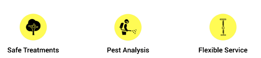 Pest Control Services Process